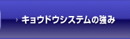 キョウドウシステムの強み